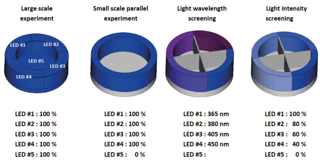 Chaque module LED, interchangeable, peut fonctionner soit à 365 nm, 380 nm, 405 nm et 450 nm, avec une intensité lumineuse variable.